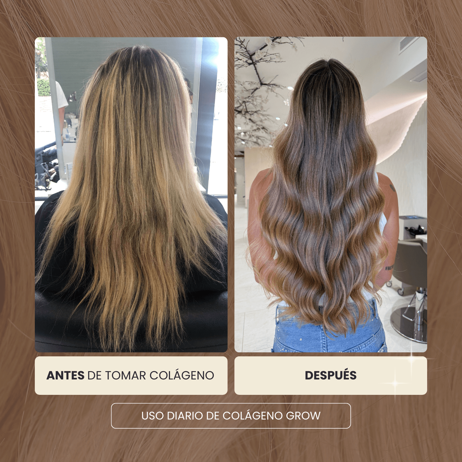 Colágeno Chocolate Salado