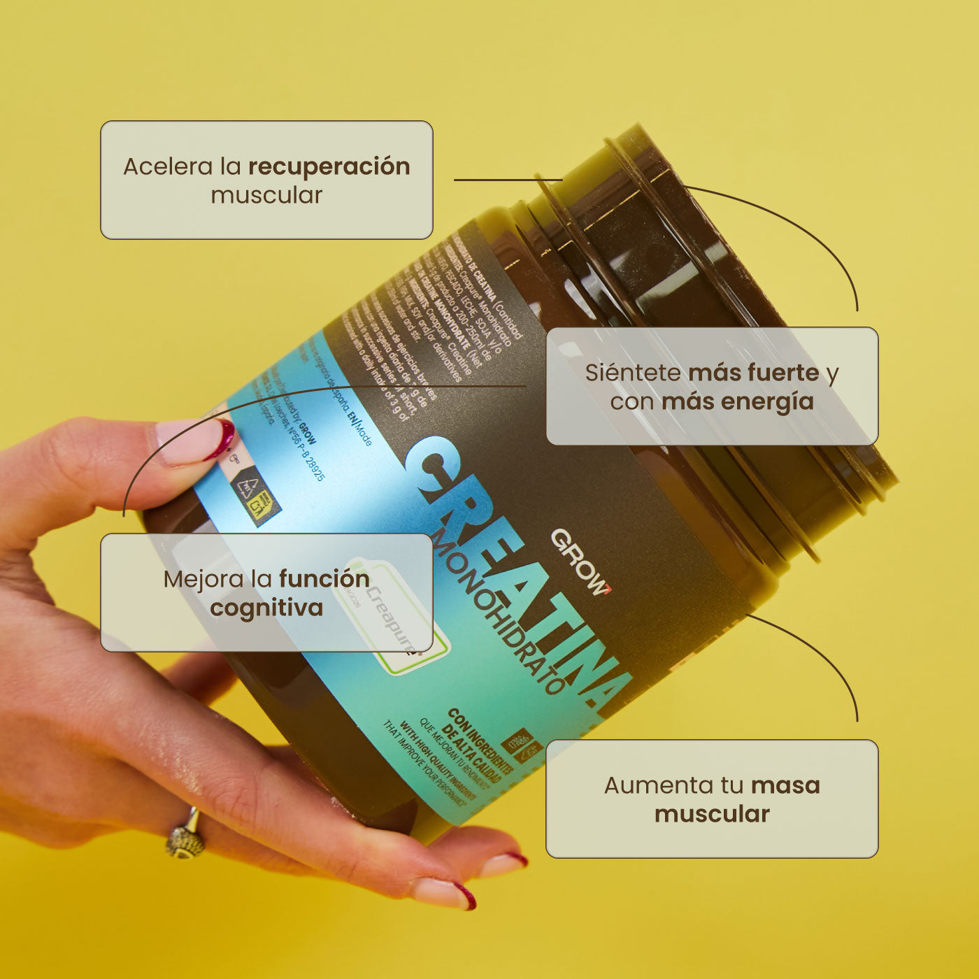 Creatina Monohidrato Creapure®