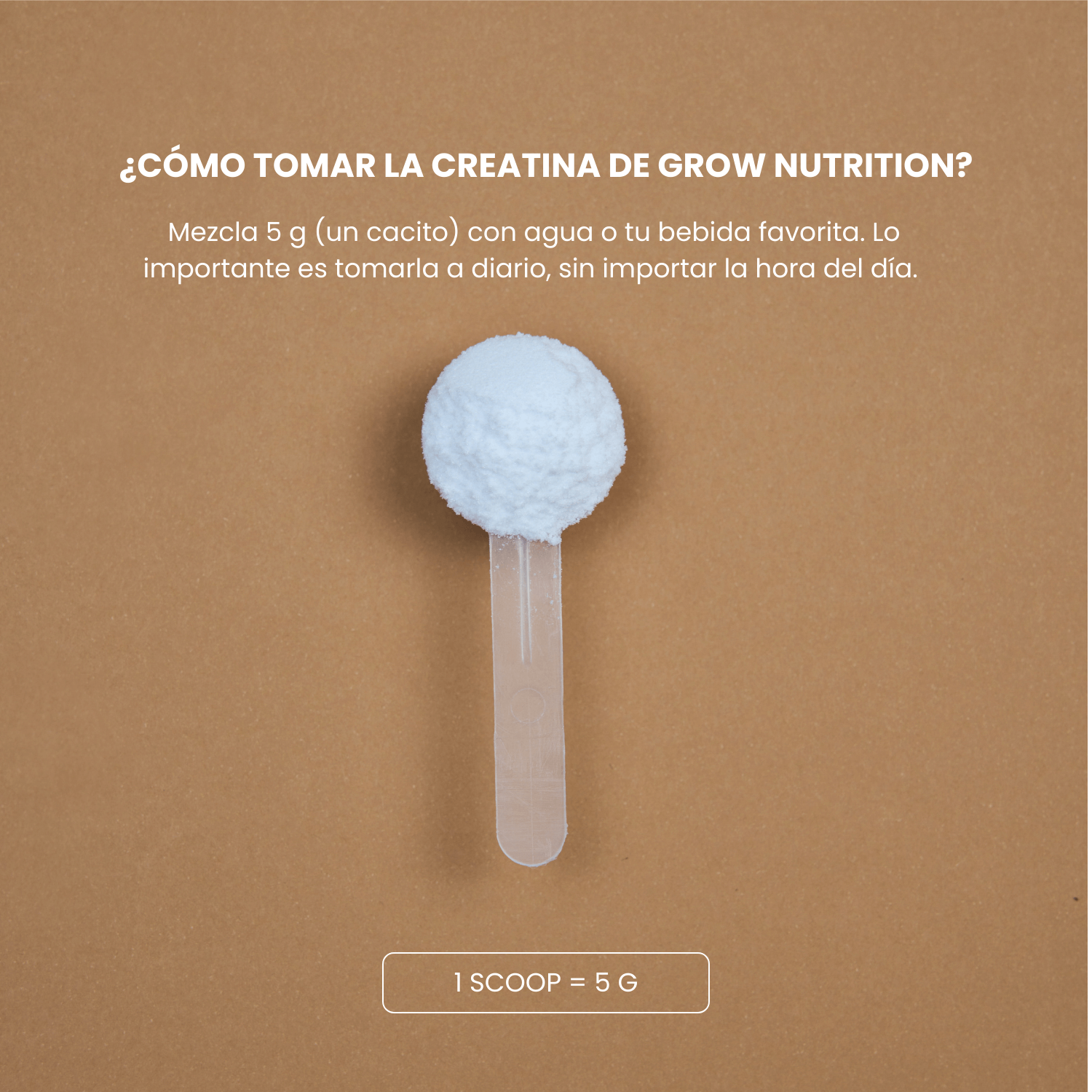 Creatina Monohidrato Creapure®